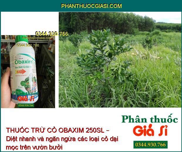 THUỐC TRỪ CỎ OBAXIM 250SL – Diệt Sạch Cỏ Tận Gốc- Diệt Sâu Dưới Đất