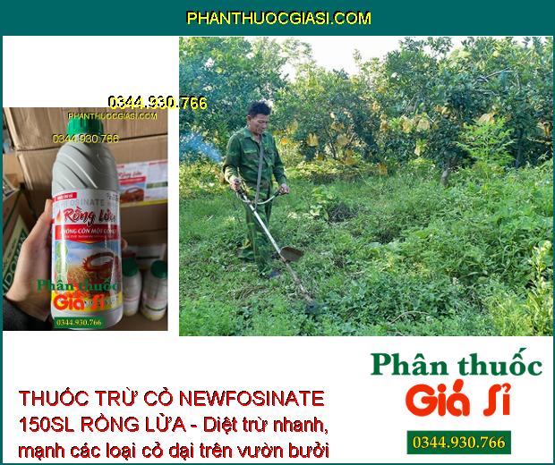 THUỐC TRỪ CỎ NEWFOSINATE 150SL RỒNG LỬA 