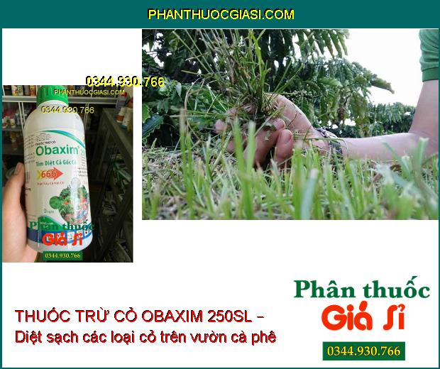 THUỐC TRỪ CỎ OBAXIM 250SL – Diệt Sạch Cỏ Tận Gốc- Diệt Sâu Dưới Đất