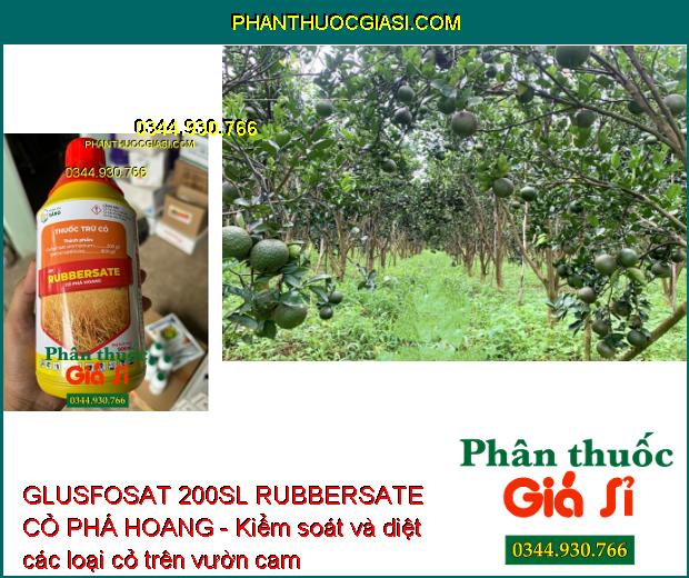 GLUSFOSAT 200SL RUBBERSATE CỎ PHÁ HOANG