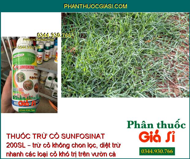 THUỐC TRỪ CỎ SUNFOSINAT 200SL GLUMOXONE 200 – Cháy Sạch Cỏ