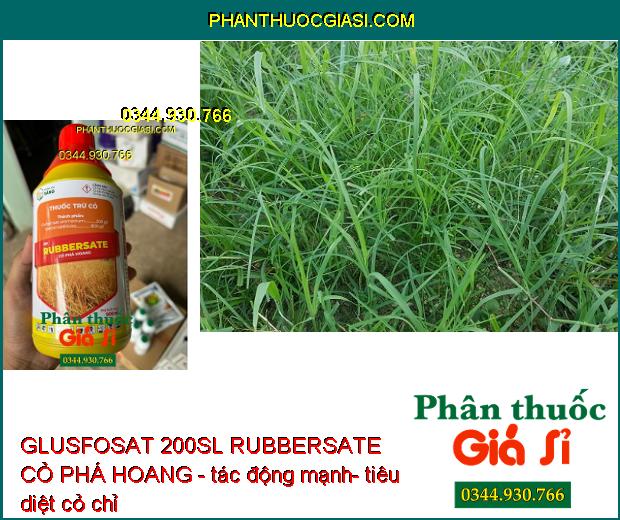 GLUSFOSAT 200SL RUBBERSATE CỎ PHÁ HOANG