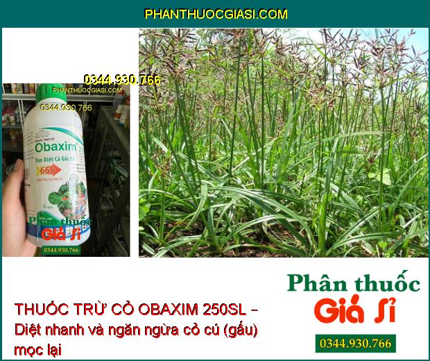 THUỐC TRỪ CỎ OBAXIM 250SL – Diệt Sạch Cỏ Tận Gốc- Diệt Sâu Dưới Đất