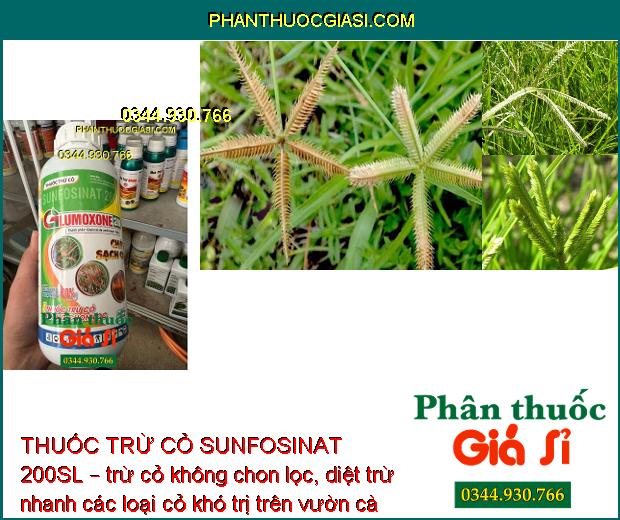 THUỐC TRỪ CỎ SUNFOSINAT 200SL GLUMOXONE 200 – Cháy Sạch Cỏ