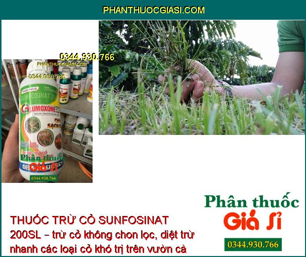 THUỐC TRỪ CỎ SUNFOSINAT 200SL GLUMOXONE 200 – Cháy Sạch Cỏ