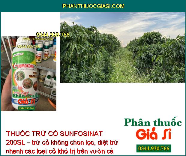 THUỐC TRỪ CỎ SUNFOSINAT 200SL GLUMOXONE 200 – Cháy Sạch Cỏ