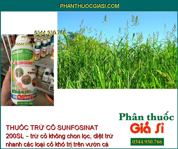 THUỐC TRỪ CỎ SUNFOSINAT 200SL GLUMOXONE 200 – Cháy Sạch Cỏ