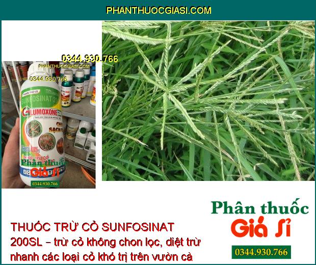 THUỐC TRỪ CỎ SUNFOSINAT 200SL GLUMOXONE 200 – Cháy Sạch Cỏ