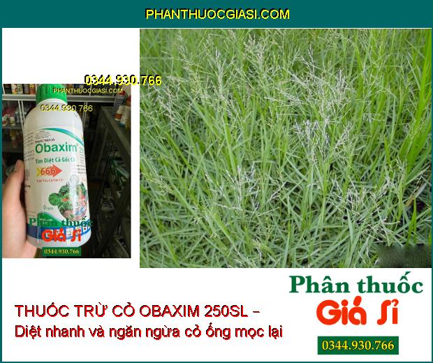 THUỐC TRỪ CỎ OBAXIM 250SL – Diệt Sạch Cỏ Tận Gốc- Diệt Sâu Dưới Đất