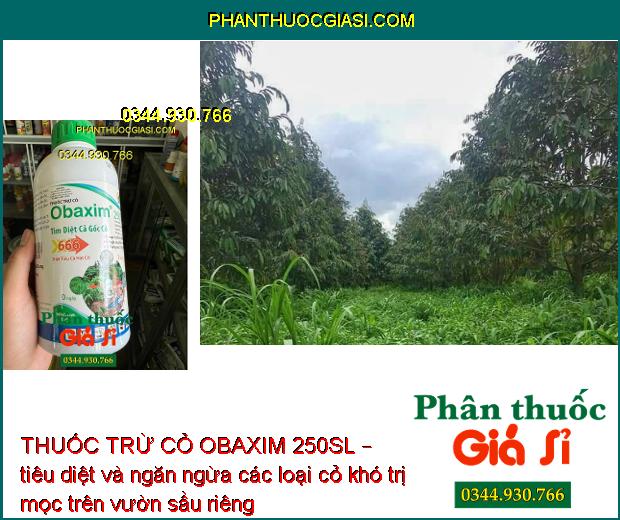 THUỐC TRỪ CỎ OBAXIM 250SL – Diệt Sạch Cỏ Tận Gốc- Diệt Sâu Dưới Đất