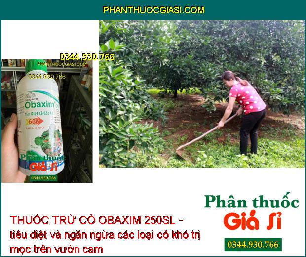 THUỐC TRỪ CỎ OBAXIM 250SL – Diệt Sạch Cỏ Tận Gốc- Diệt Sâu Dưới Đất