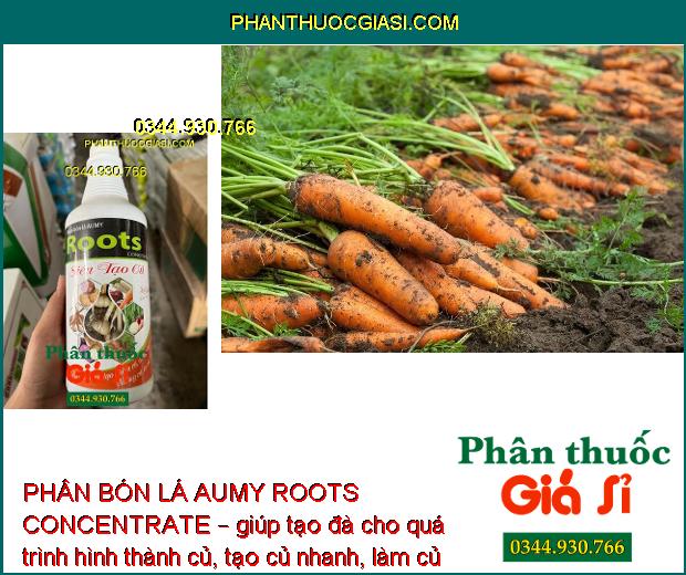 PHÂN BÓN LÁ AUMY ROOTS CONCENTRATE SIÊU TẠO CỦ – Ra Nhiều Mạnh- Củ To 