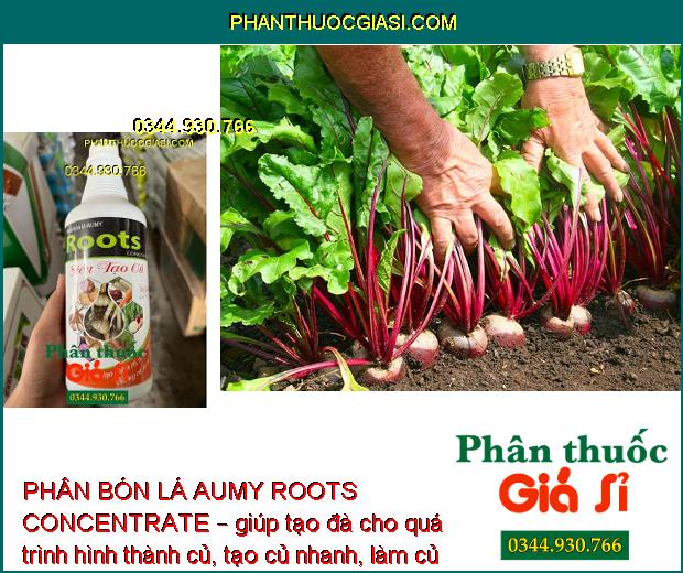 PHÂN BÓN LÁ AUMY ROOTS CONCENTRATE SIÊU TẠO CỦ – Ra Nhiều Mạnh- Củ To 