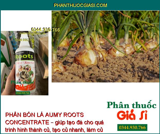 PHÂN BÓN LÁ AUMY ROOTS CONCENTRATE SIÊU TẠO CỦ – Ra Nhiều Mạnh- Củ To 