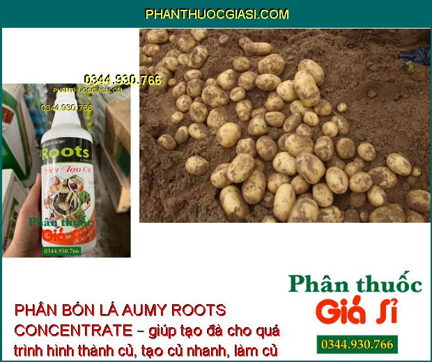 PHÂN BÓN LÁ AUMY ROOTS CONCENTRATE SIÊU TẠO CỦ – Ra Nhiều Mạnh- Củ To 