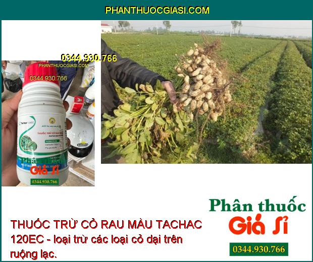 THUỐC TRỪ CỎ RAU MÀU TACHAC 120EC - Đặc Trị Hậu Nảy Mầm- Cỏ Lá Hẹp 