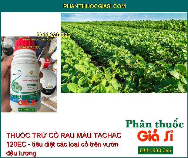 THUỐC TRỪ CỎ RAU MÀU TACHAC 120EC - Đặc Trị Hậu Nảy Mầm- Cỏ Lá Hẹp 