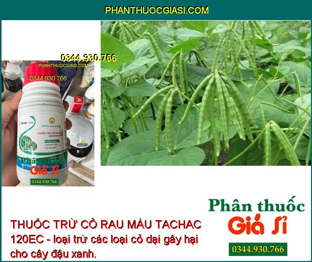 THUỐC TRỪ CỎ RAU MÀU TACHAC 120EC - Đặc Trị Hậu Nảy Mầm- Cỏ Lá Hẹp 