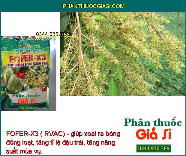 FOFER-X3 ( RVAC)- Kích Xoài Ra Bông- Cho Trái Sớm