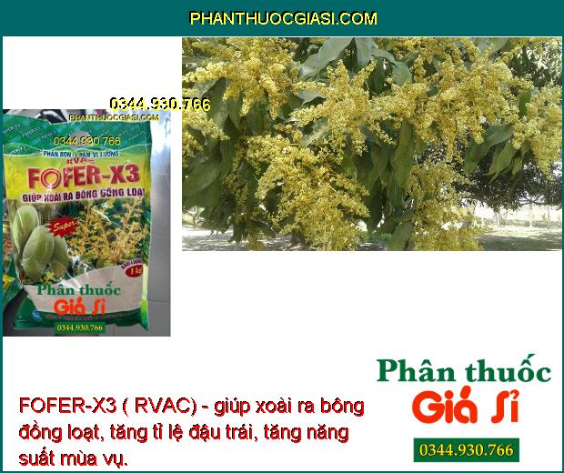 FOFER-X3 ( RVAC)- Kích Xoài Ra Bông- Cho Trái Sớm