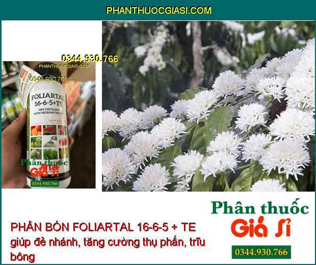 PHÂN BÓN FOLIARTAL 16-6-5 + TE giúp cây đẻ nhánh, trĩu bông, tăng cường thụ phấn