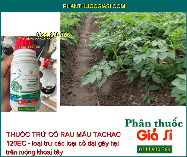 THUỐC TRỪ CỎ RAU MÀU TACHAC 120EC - Đặc Trị Hậu Nảy Mầm- Cỏ Lá Hẹp 