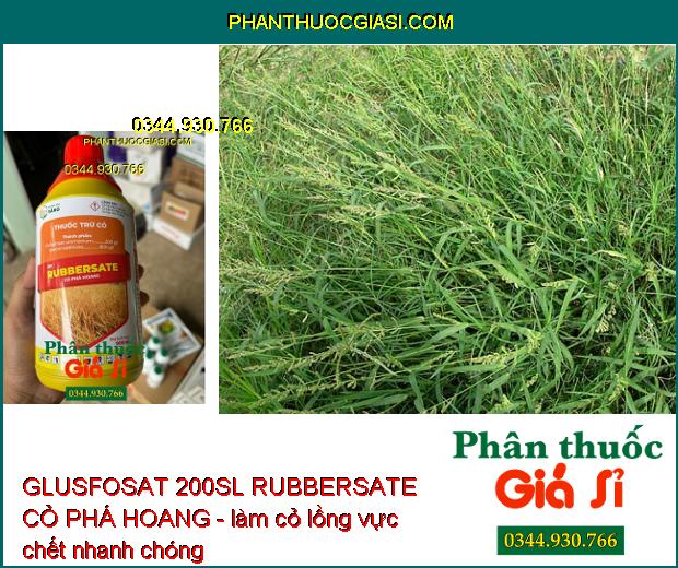 GLUSFOSAT 200SL RUBBERSATE CỎ PHÁ HOANG