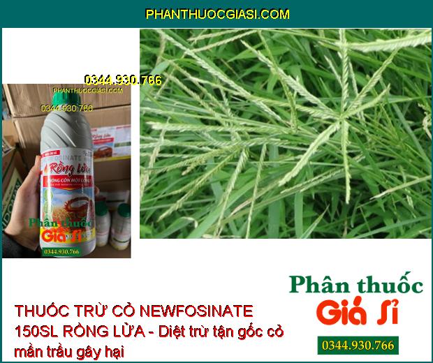 THUỐC TRỪ CỎ NEWFOSINATE 150SL RỒNG LỬA 