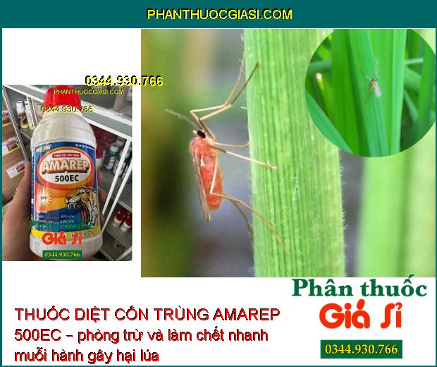 THUỐC DIỆT CÔN TRÙNG AMAREP 500EC – Đặc Trị Các Loại Sâu và Côn Trùng