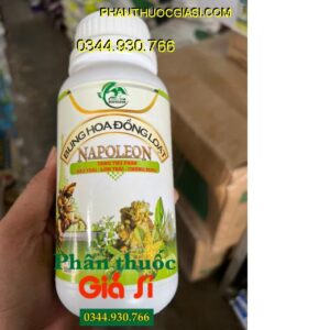 PHÂN BÓN NAPOLEON BUNG HOA ĐỒNG LOẠT – Bật Mầm Hoa Mạnh- Tăng Đậu Trái