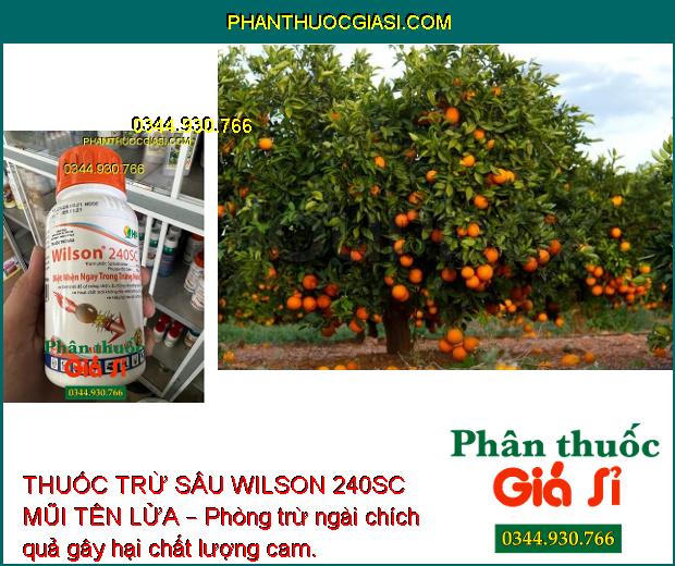 THUỐC TRỪ SÂU WILSON 240SC MŨI TÊN LỬA – Đặc Trị Nhện Đỏ Trên Cây Có Múi