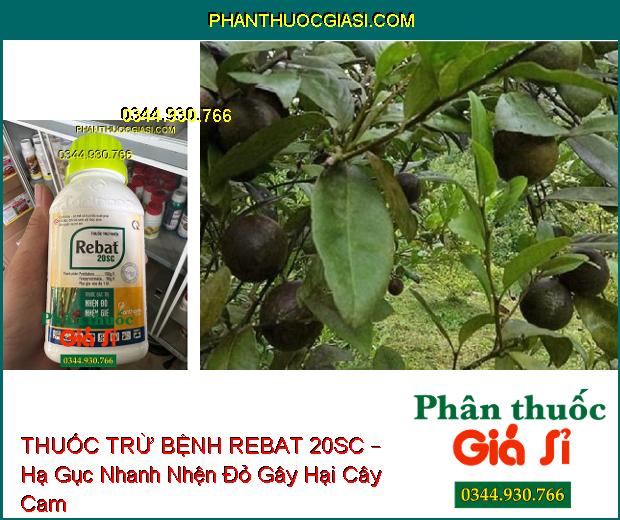 THUỐC TRỪ BỆNH REBAT 20SC – Đặc Trị - Hạ Gục Nhanh Các Loại Nhện Gié, Nhện Đỏ, Bọ Xít, Muỗi