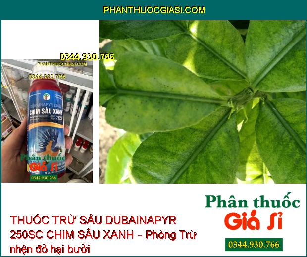 THUỐC TRỪ SÂU DUBAINAPYR 250SC CHIM SÂU XANH – Phòng Trừ Các Loại Sâu Gây Hại 