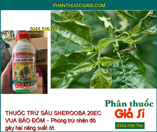 THUỐC TRỪ SÂU SHEROOBA 20EC VUA BÁO ĐỐM – Đặc Trừ Sâu Cuốn Lá- Sâu Khoang Hại Lạc