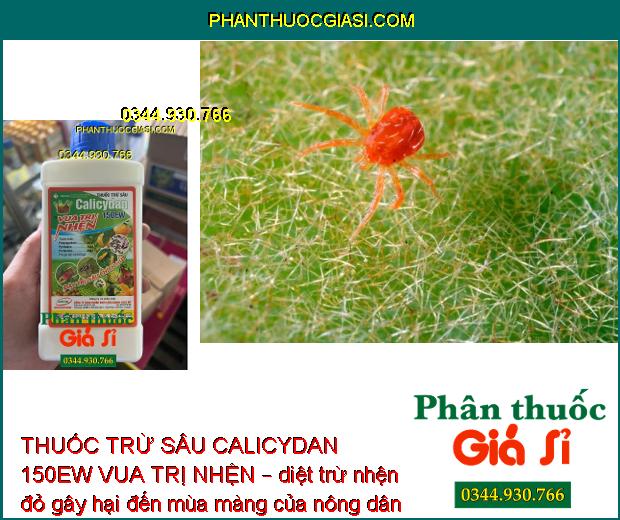 THUỐC TRỪ SÂU CALICYDAN 150EW VUA TRỊ NHỆN – Phòng Chống Các Loại Nhện Gây Hại