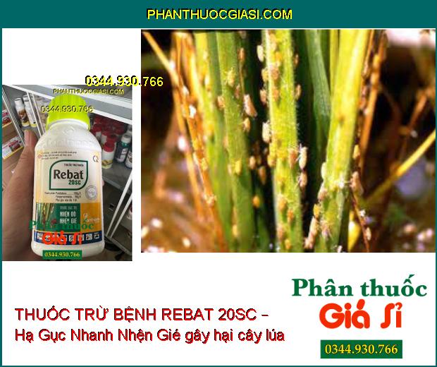 THUỐC TRỪ BỆNH REBAT 20SC – Đặc Trị - Hạ Gục Nhanh Các Loại Nhện Gié, Nhện Đỏ, Bọ Xít, Muỗi