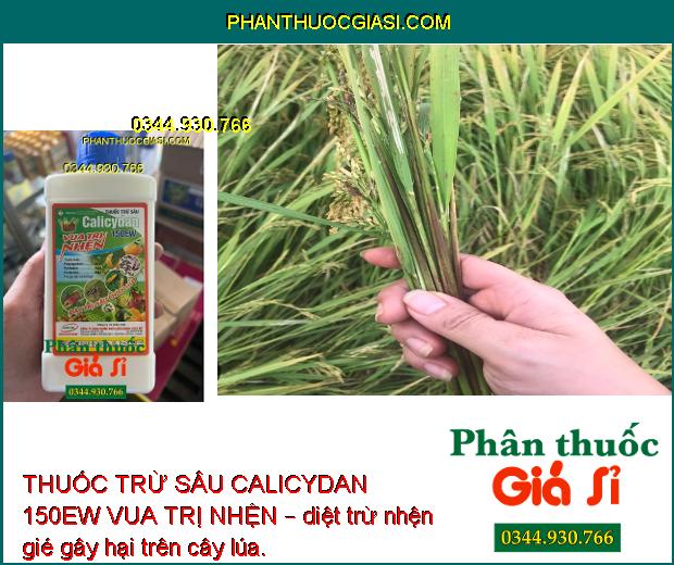 THUỐC TRỪ SÂU CALICYDAN 150EW VUA TRỊ NHỆN – Phòng Chống Các Loại Nhện Gây Hại