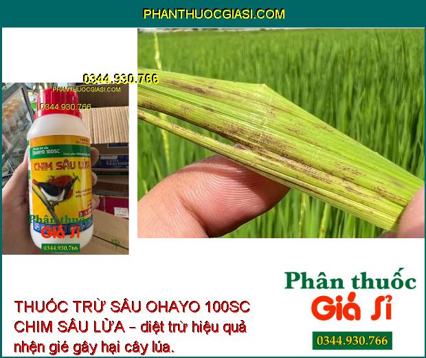 THUỐC TRỪ SÂU OHAYO 100SC CHIM SÂU LỬA – Diệt Trừ Hiệu Quả Nhiều Loại Sâu Gây Hại