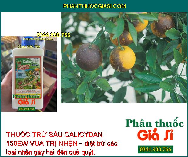 THUỐC TRỪ SÂU CALICYDAN 150EW VUA TRỊ NHỆN – Phòng Chống Các Loại Nhện Gây Hại