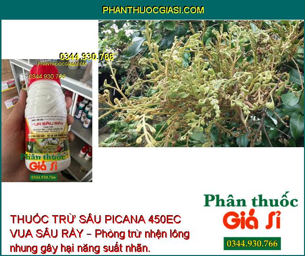 THUỐC TRỪ SÂU PICANA 450EC VUA SÂU RẦY – Phòng Trừ Các Loại Sâu- Rầy Gây Hại