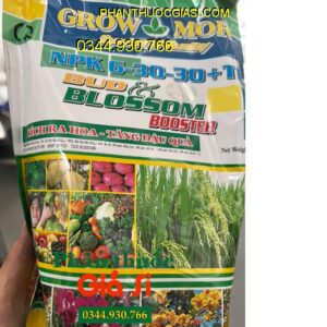 NPK 6-30-30+TE BUD & BLOSSOM BOOSTER- Đâm Chồi- Đẻ Nhánh