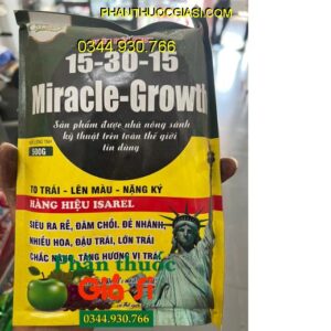 MIRACLE GROWTH 15-30-15 – To Trái- Nặng Ký- Đẹp Màu