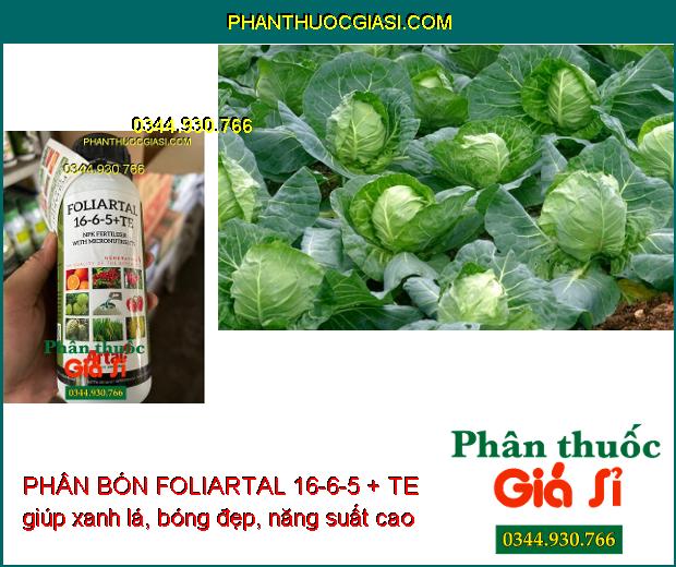 PHÂN BÓN FOLIARTAL 16-6-5 + TE giúp xanh lá, lá bóng đẹp, năng suất cao