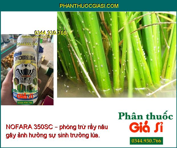 NOFARA 350SC – Đặc Trị Sâu - Rầy Nâu Gây Hại Cây Trồng