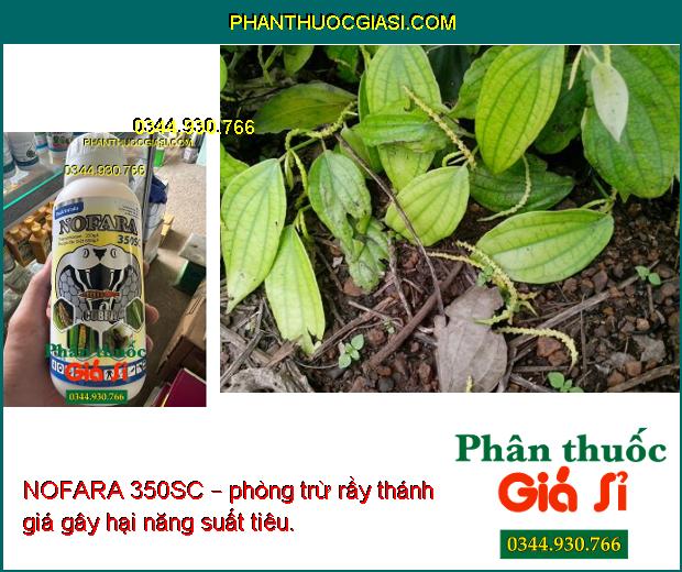 NOFARA 350SC – Đặc Trị Sâu - Rầy Nâu Gây Hại Cây Trồng