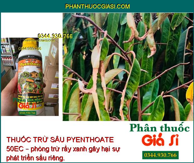 THUỐC TRỪ SÂU PYENTHOATE 50EC – Đặc Trị Sâu Đục Thân và Nhiều Loại Sâu Bệnh Khác