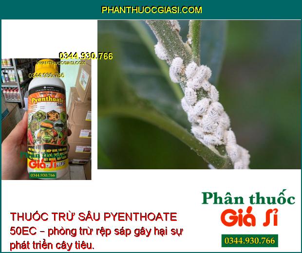 THUỐC TRỪ SÂU PYENTHOATE 50EC – Đặc Trị Sâu Đục Thân và Nhiều Loại Sâu Bệnh Khác