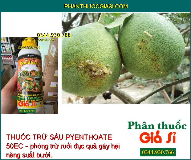 THUỐC TRỪ SÂU PYENTHOATE 50EC – Đặc Trị Sâu Đục Thân và Nhiều Loại Sâu Bệnh Khác