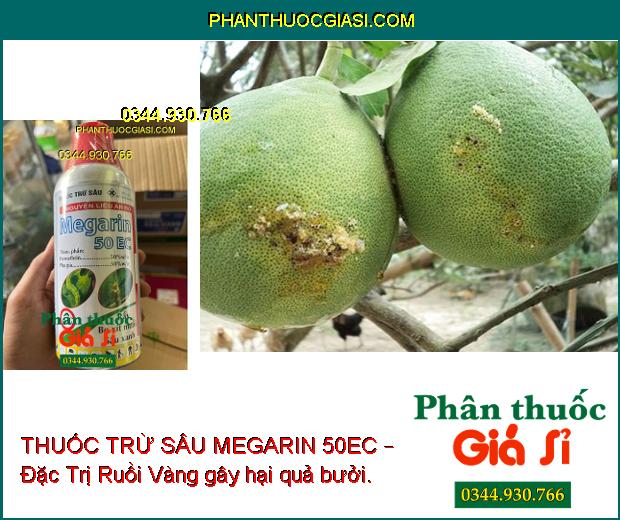 THUỐC TRỪ SÂU MEGARIN 50EC – Đặc Trị Ruồi Vàng- Sâu - Rầy