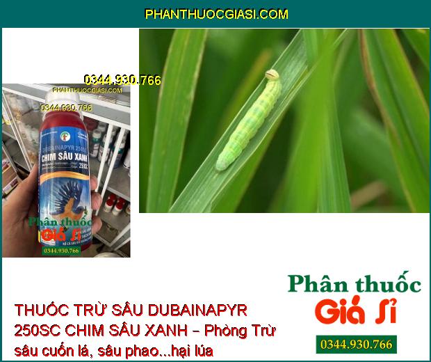 THUỐC TRỪ SÂU DUBAINAPYR 250SC CHIM SÂU XANH – Phòng Trừ Các Loại Sâu Gây Hại 